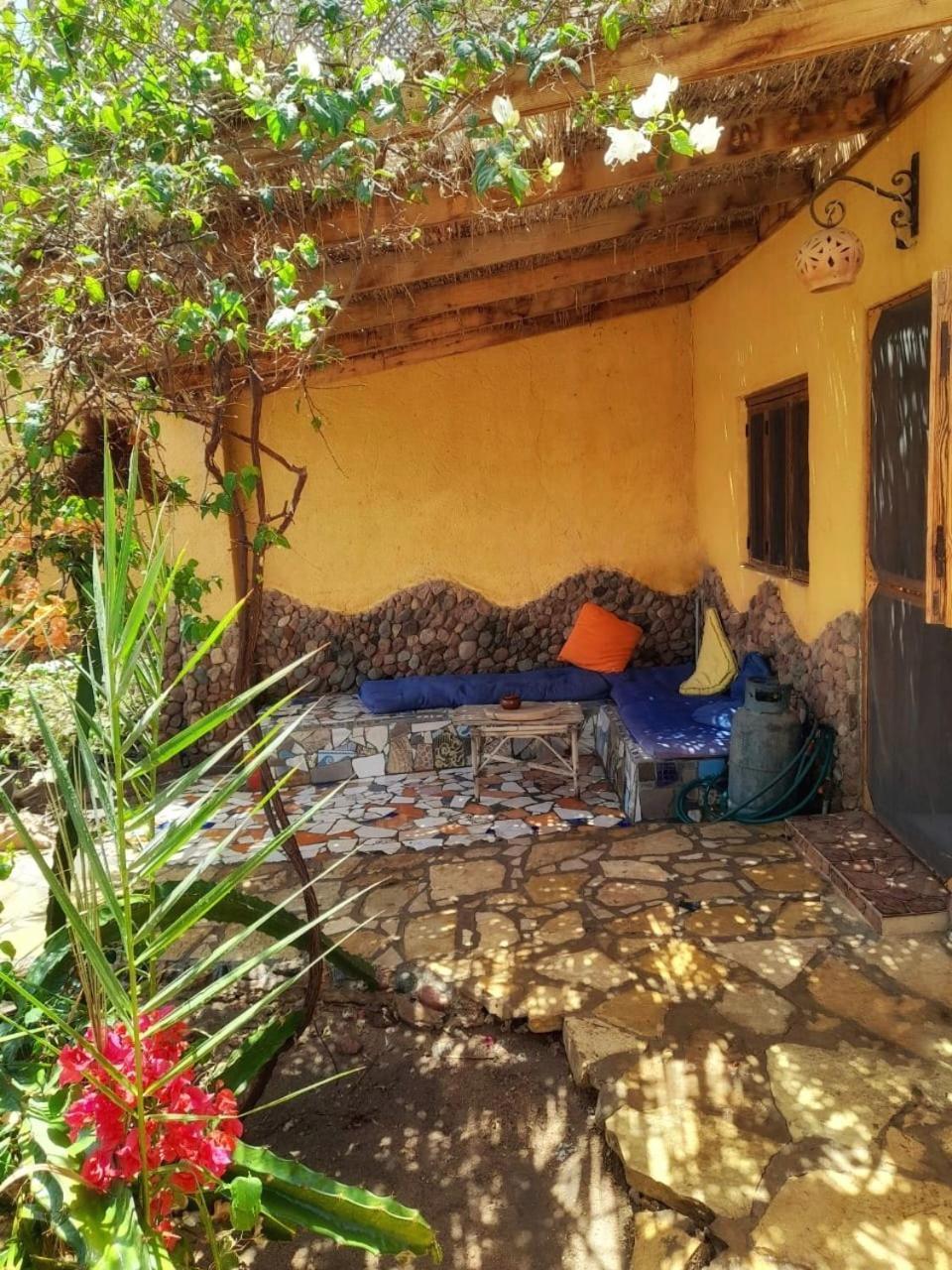 Jillyfish House, Deine Oase In Zwei Palmengarten, Central Am 'Lighthouse' Dahab Dış mekan fotoğraf