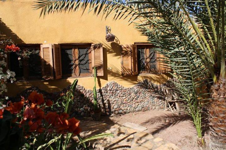 Jillyfish House, Deine Oase In Zwei Palmengarten, Central Am 'Lighthouse' Dahab Dış mekan fotoğraf